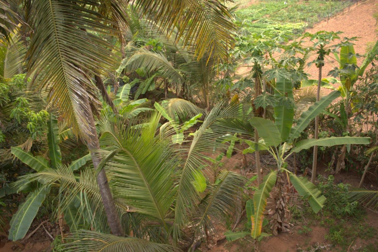 Surya Guest House Gokarna  Exterior foto